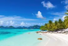 Say Oui to Seychelles