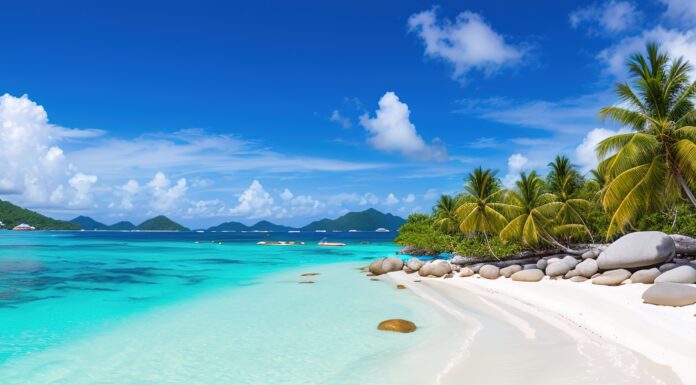 Say Oui to Seychelles