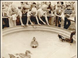 A Fair Tradition